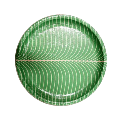 Paper Plate manufacturer