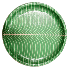 Paper plate Raw Material